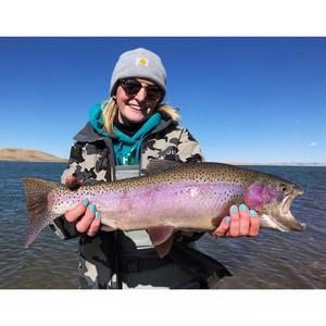 Meet your Posher, Haley